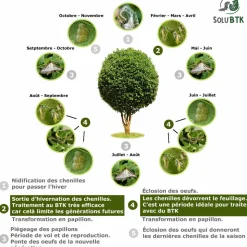 TOUT POUR LES NUISIBLES - Solubtk -pyrale du buis 30gr bacillus thuringiensis -insecticide