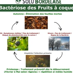 TOUT POUR LES NUISIBLES - Solu'bordelaise - 3 kg de bouillie bordelaise - bactériose des fruits à coque - utilisable agriculture biologique - 3 sachets de 1kg