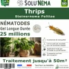 TOUT POUR LES NUISIBLES - Solunéma - thrips - nématodes (sf) - 25 millions pour traiter jusqu'à 50 m²