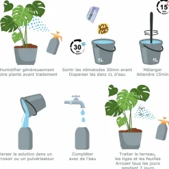 TOUT POUR LES NUISIBLES - Solunéma - thrips - nématodes (sf) - 25 millions pour traiter jusqu'à 50 m²