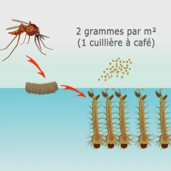 TOUT POUR LES NUISIBLES - Solu'bti - moustiques - 50 gr de larvicide biologique