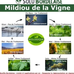 TOUT POUR LES NUISIBLES - Solu'bordelaise - 500 g de bouillie bordelaise - mildiou de la vigne - utilisable agriculture biologique