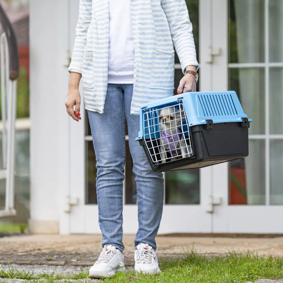 Transport rigide pour chats et chiens de petite taille atlas 10 el, porte an acier plastifié, grilles pour l'aération