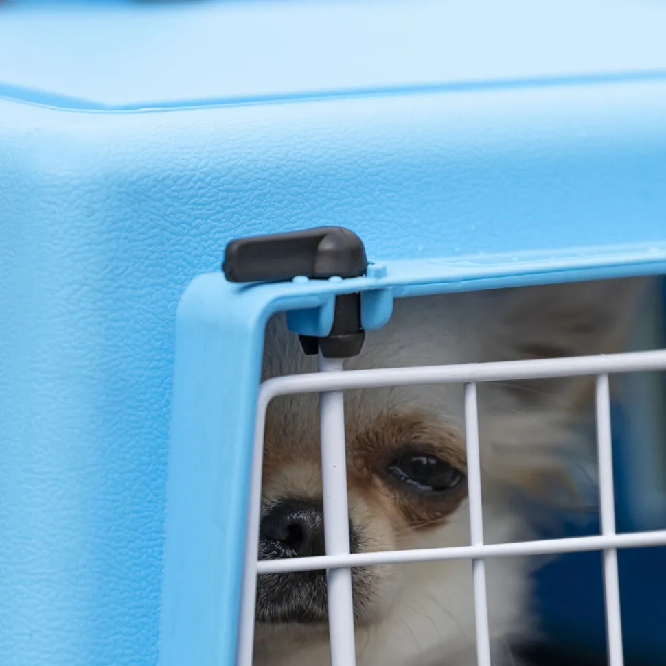 Transport rigide pour chats et chiens de petite taille atlas 10 el, porte an acier plastifié, grilles pour l'aération