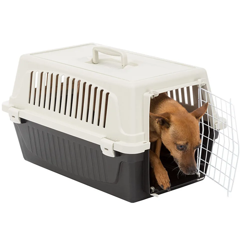 Transport rigide pour chiens de petite taille et chats atlas 20 el, porte an acier plastifié, grilles pour l'aération