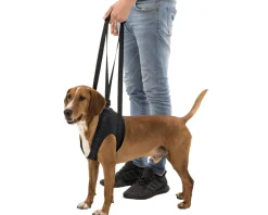 TRIXIE - Aide à la marche pour chien 鈥