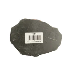 TRIXIE - Ecuelle pour eau et nourriture pour reptiles. 10 x 7.5 x 2.5cm