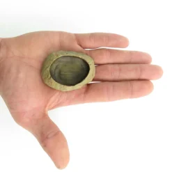 TRIXIE - Ecuelle pour eau et nourriture pour reptile 6 × 4,5 cm h1.5