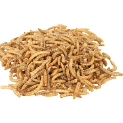 TRIXIE - Larves de vers de farine séchées 70 gr