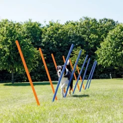 TRIXIE - Piquets de slalom pour parcours d'agilité 115 cm 12 pcs plastique