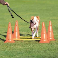 TRIXIE - Set d'obstacles pour chien - 4 cône - agility