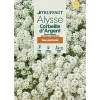 TRUFFAUT - Alysse Tapis d'argent : en sachet