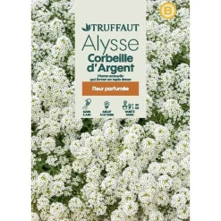 TRUFFAUT - Alysse Tapis d'argent : en sachet