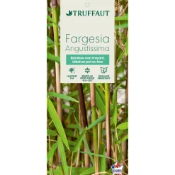 TRUFFAUT - Bambou non-traçant fargesia angustissima: pot de 12 litres