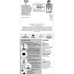 TRUFFAUT - Bambou non-traçant fargesia angustissima: pot de 12 litres