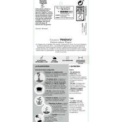 TRUFFAUT - Bambou non-traçant fargesia robusta 'Pingwu': pot de 12 litres