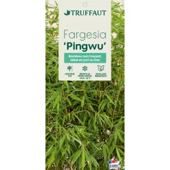 TRUFFAUT - Bambou non-traçant fargesia robusta 'Pingwu': pot de 5 litres