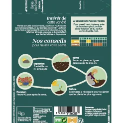 TRUFFAUT - Belle de nuit Junon - couleur variée : en sachet