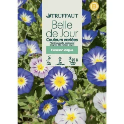 TRUFFAUT - Belle-de-jour couleur Variée : en Sachet