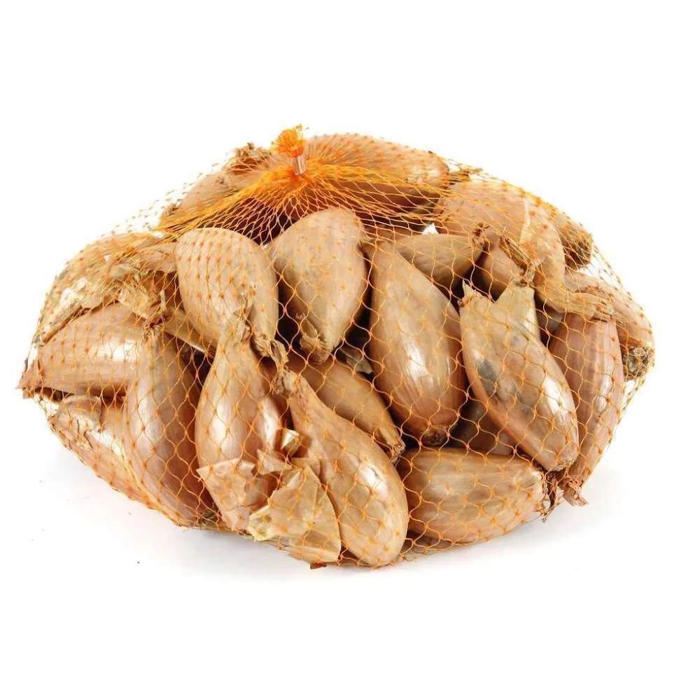 TRUFFAUT - Bulbes d'échalotes 'Longor' en filet - 250 g