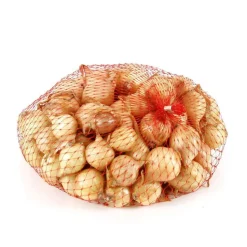 TRUFFAUT - Bulbes d'oignons 'Riesen' en filet - 250 g