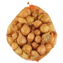 TRUFFAUT - Bulbes d'oignons jaunes en filet - 250 g