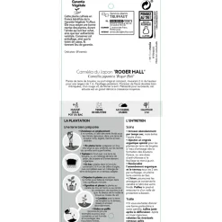 TRUFFAUT - Camellia japonica 'Roger Hall ': H. 40/50 cm ctr 3L