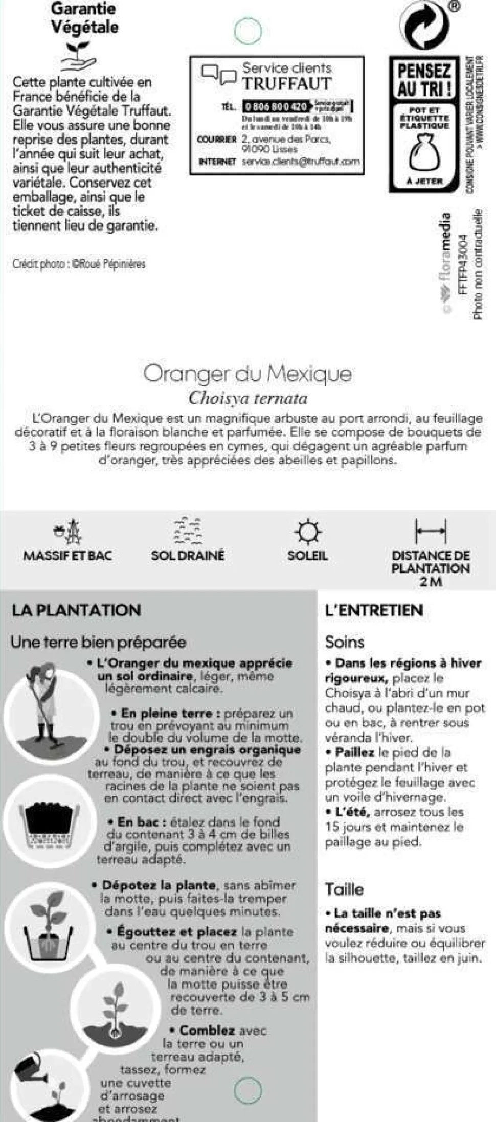 TRUFFAUT - Choisya ternata : ctr 7 litres