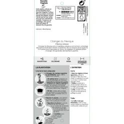 TRUFFAUT - Choisya ternata: C 5L