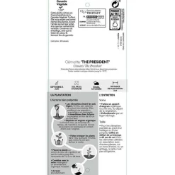 TRUFFAUT - Clematis ' The President ': conteneur 3 litres