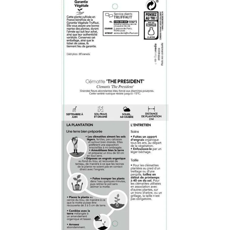 TRUFFAUT - Clematis ' The President ': conteneur 3 litres