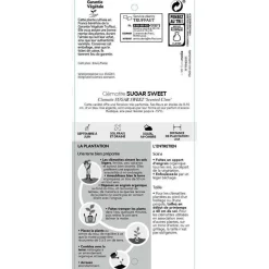 TRUFFAUT - Clematis 'Sugar Sweet': pot 3L
