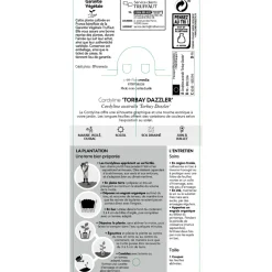 TRUFFAUT - Cordyline australis 'Torbay Dazzler' : pot 3L