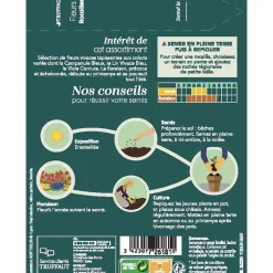 TRUFFAUT - Fleurs vivaces en mélange massifs et rocailles : grand sachet