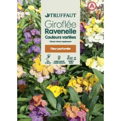 TRUFFAUT - Giroflée Ravenelle "simple" variée 1 g