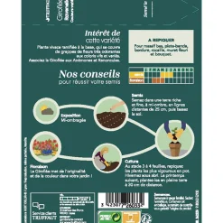 TRUFFAUT - Giroflée Ravenelle "simple" variée 1 g
