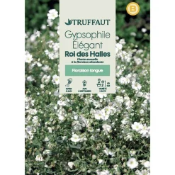 TRUFFAUT - Gypsophile Elegant roi Des Halles : En Sachet