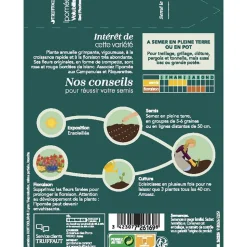 TRUFFAUT - Ipomée red picotee 2 g