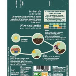 TRUFFAUT - Lavande variée : en sachet