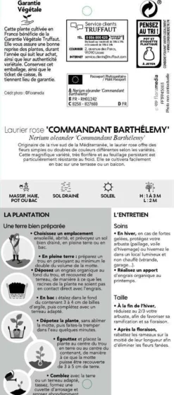 TRUFFAUT - Nerium Oleander Commandant Barthelemy pot 5L