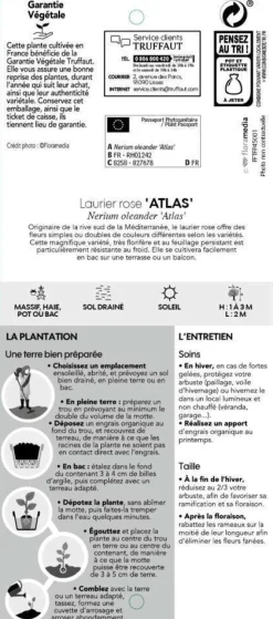 TRUFFAUT - Nerium Oleander Atlas pot 5L