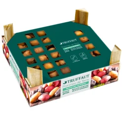 TRUFFAUT - Plants de pommes de terre 'La Délicatesse' en clayette x60