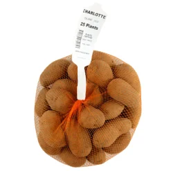 TRUFFAUT - Plants de pommes de terre 'Charlotte' en filet x25