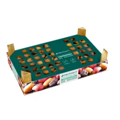 TRUFFAUT - Plants de pommes de terre 'Charlotte' en clayette x100