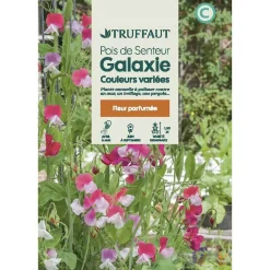 TRUFFAUT - Pois de senteur galaxie varié 6 g