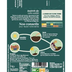 TRUFFAUT - Pois de senteur géant Spencer couleur variée : en sachet