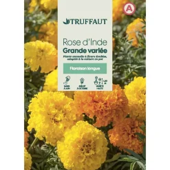 TRUFFAUT - Rose d'Inde double grande variée : en sachet