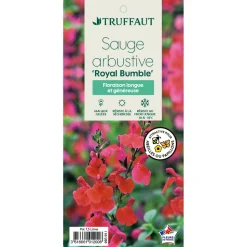 TRUFFAUT - Salvia 'Royal bumble' : Pot 7,5L