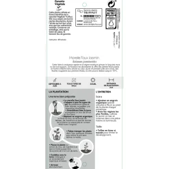 TRUFFAUT - Solanum jasminoïdes: pot 3L