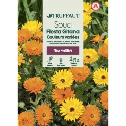 TRUFFAUT - Souci double varié